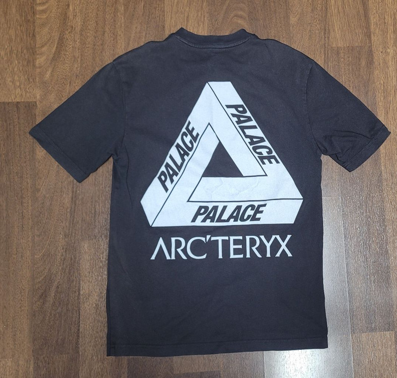 아크테릭스 팔라스 반팔 M사이즈 판매합니다. 이미지