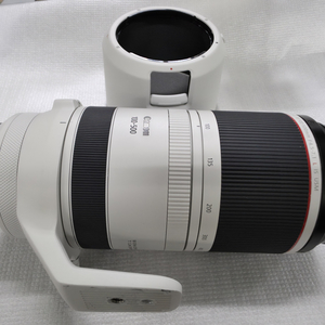 RF100-500mm F4.5-7.1L (알백오
