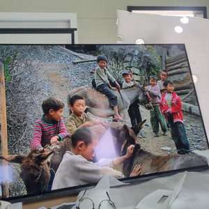 쏘니 55인치 OLED