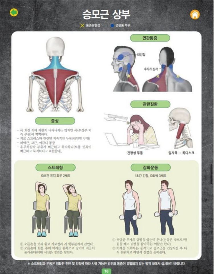 새제품 헬마정 근막통증증후군 탁상형 도서--1