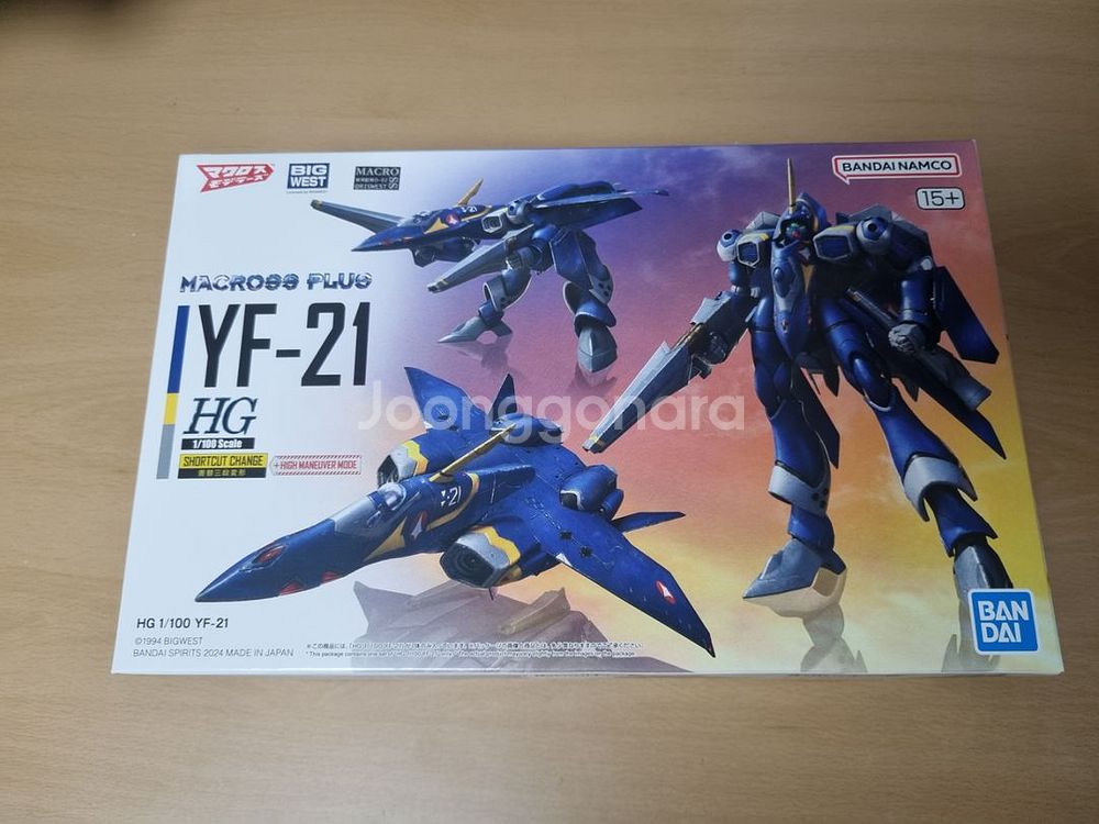 hg 마크로스 yf-21 비건담프라모델--0