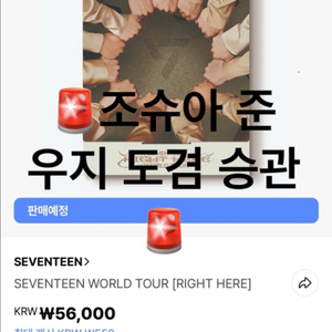 세븐틴라잇히어 디코 분철합니다
