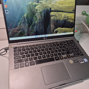 LG 그램 15인치 15Z980-GX5BK