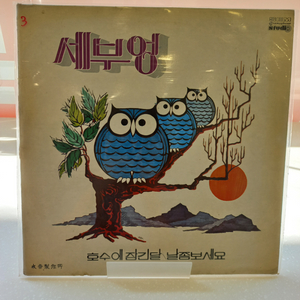 가요 lp 세부엉