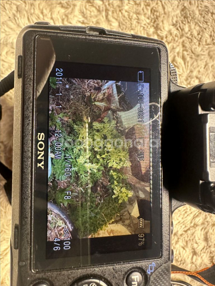 소니 알파 디카 a5 (SLT-A35) + 탐론팝니다--8