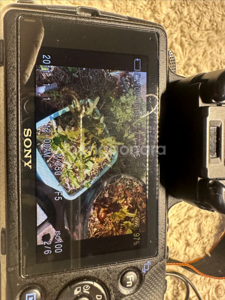 소니 알파 디카 a5 (SLT-A35) + 탐론팝니다--9