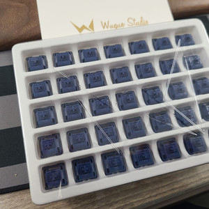WS Light Tactile