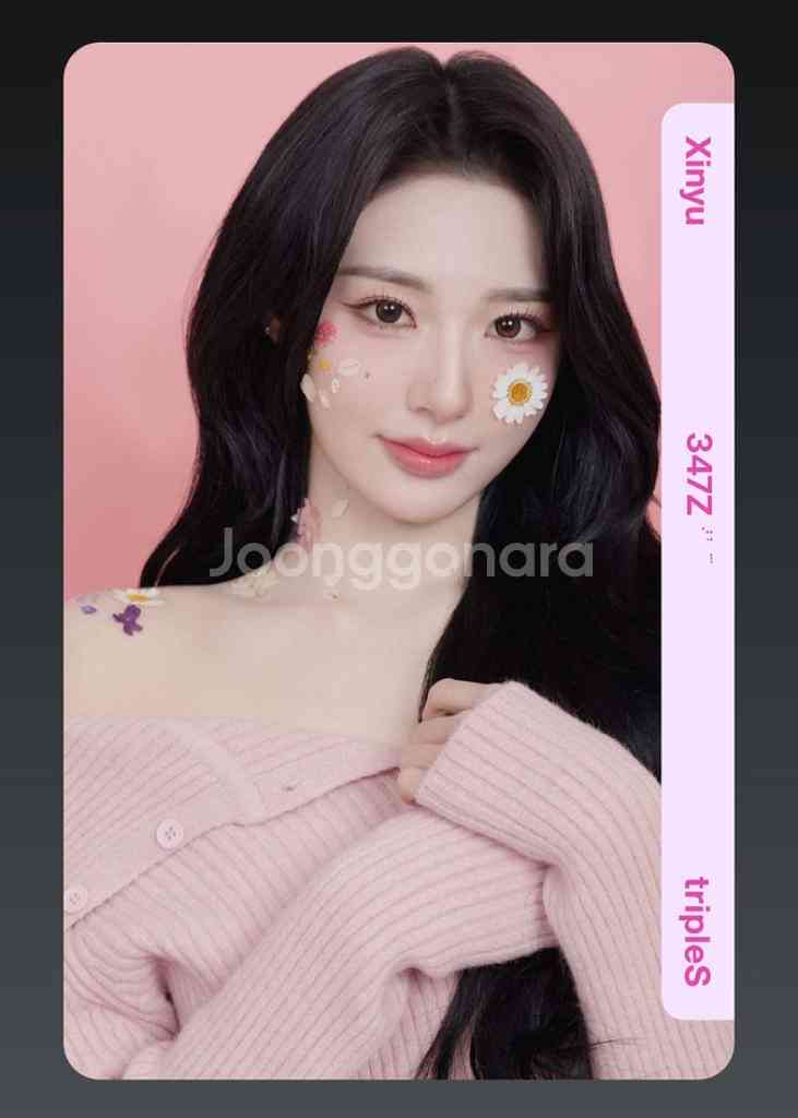 2025 트리플에스 벚꽃 신위 오브젝트 양도 판매--0