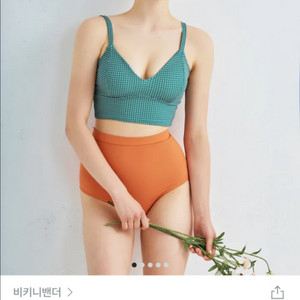 (새상품) 비키니밴더 캐로티 심플 하이웨스트 비키니스몰