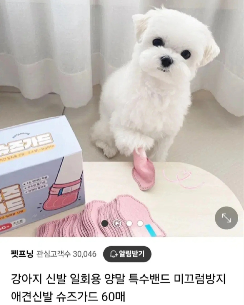 강아지 신발 슈즈가드 초소형 54개