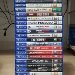 ps4 펫프린세스 어드벤처 팻프린세스 어드밴처