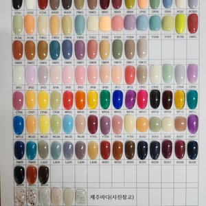 피오떼젤 (네일/새상품)