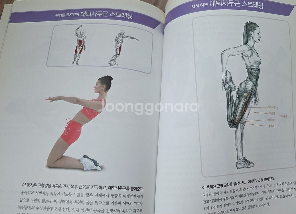아나토미 스트레칭 가이드(택포)--3