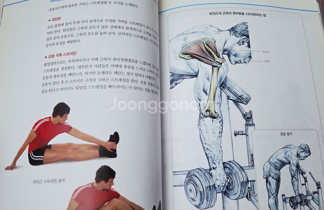 아나토미 스트레칭 가이드(택포)--5