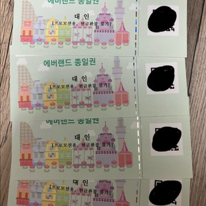 에버랜드 종일권 4매 일괄