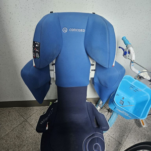 카시트 드림