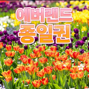 에버랜드 종일 이용권
