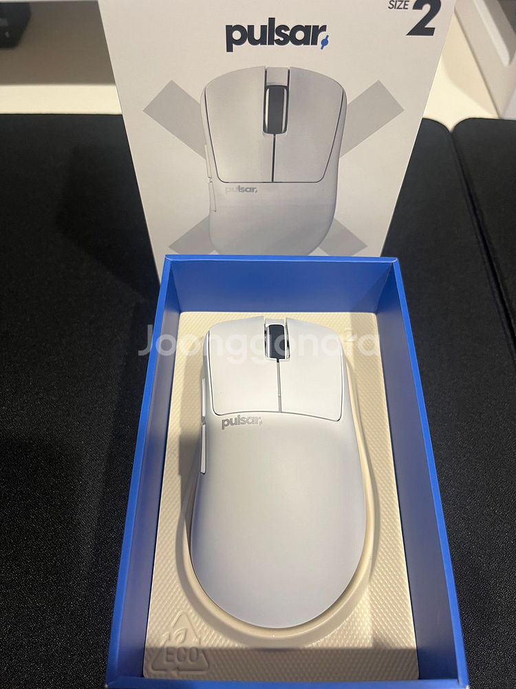 펄사 Xlite V3 미디움 (펄브삼)--1