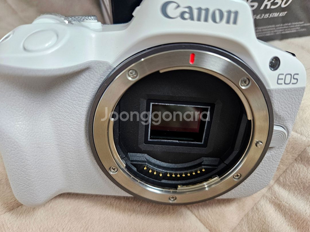 캐논 eos r50 화이트--2