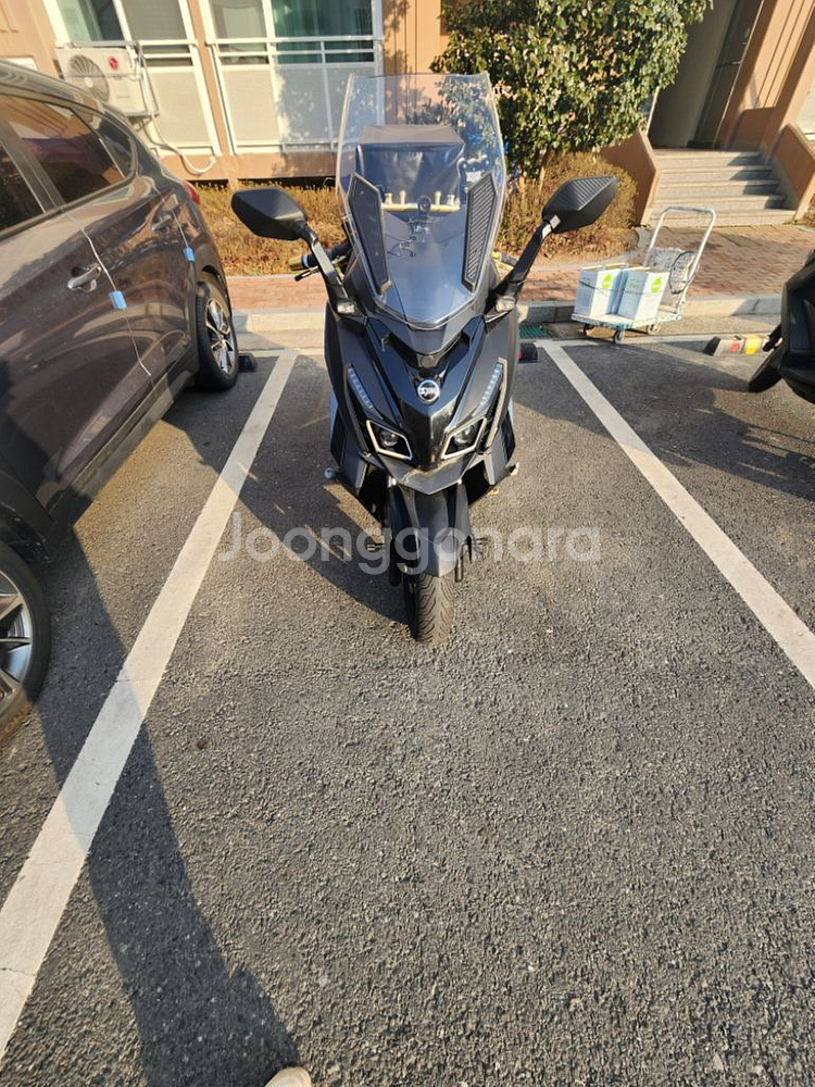 크루심 알파 125 묻따--0