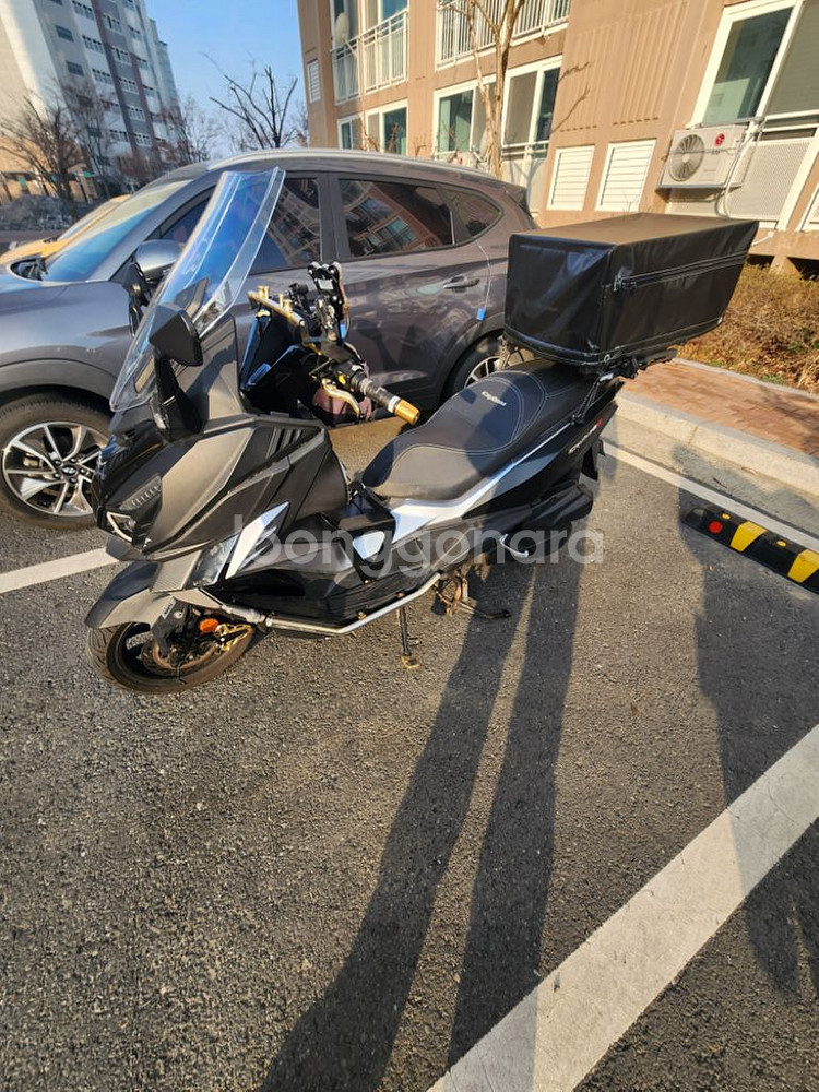 크루심 알파 125 묻따--2