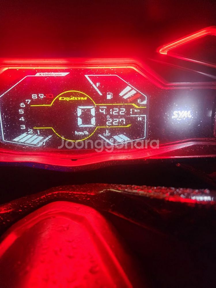 크루심 알파 125 묻따--8