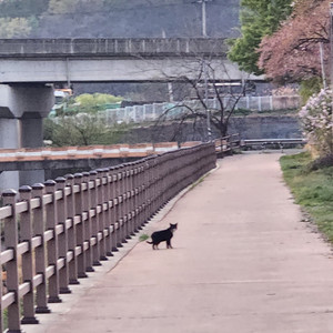 한게임계정삼니다 (기존o.기존회수계정x.신규o
