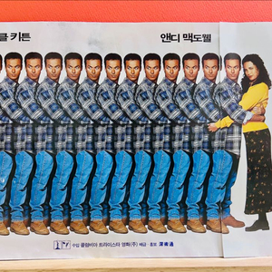 [영화팜플렛/전단지] 멀티플리시티 A4 접이 전단지