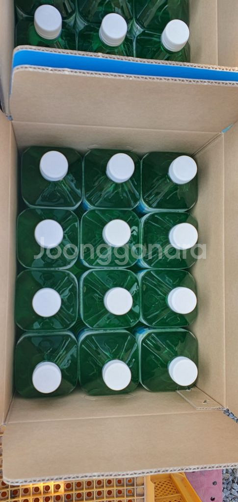 지리산 노각나무수액 다래나무수액 고로수액 채취판매!--3
