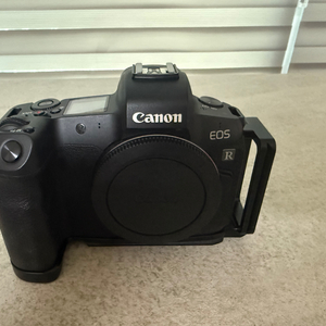 캐논 Eos R / 루믹스G100D