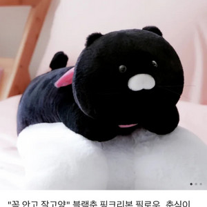 [새상품] 카카오프렌즈 블랙춘 핑크리본 필로우 춘식이