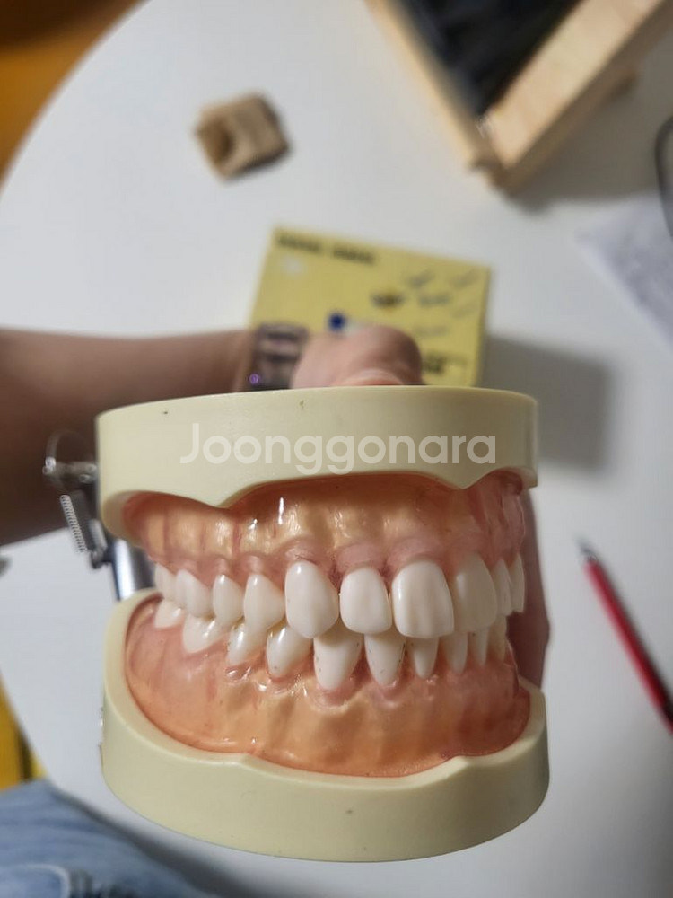 덴티폼--0