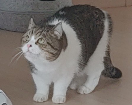 profile-image