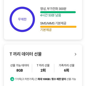 skt데이터 2기가