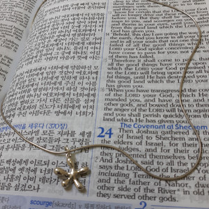 925 은목걸이 (미착용)