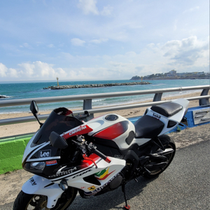 혼다 cbr1000rr
