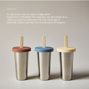 HAPS 햅스 노르딕덴마크/ 아이스크림 메이커 틀 스텐
