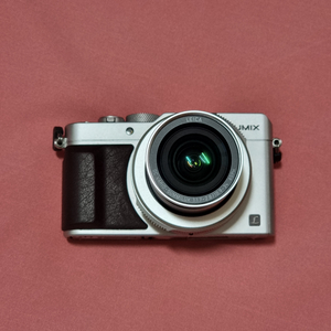 파나소닉 LUMIX LX100