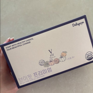 브이핏