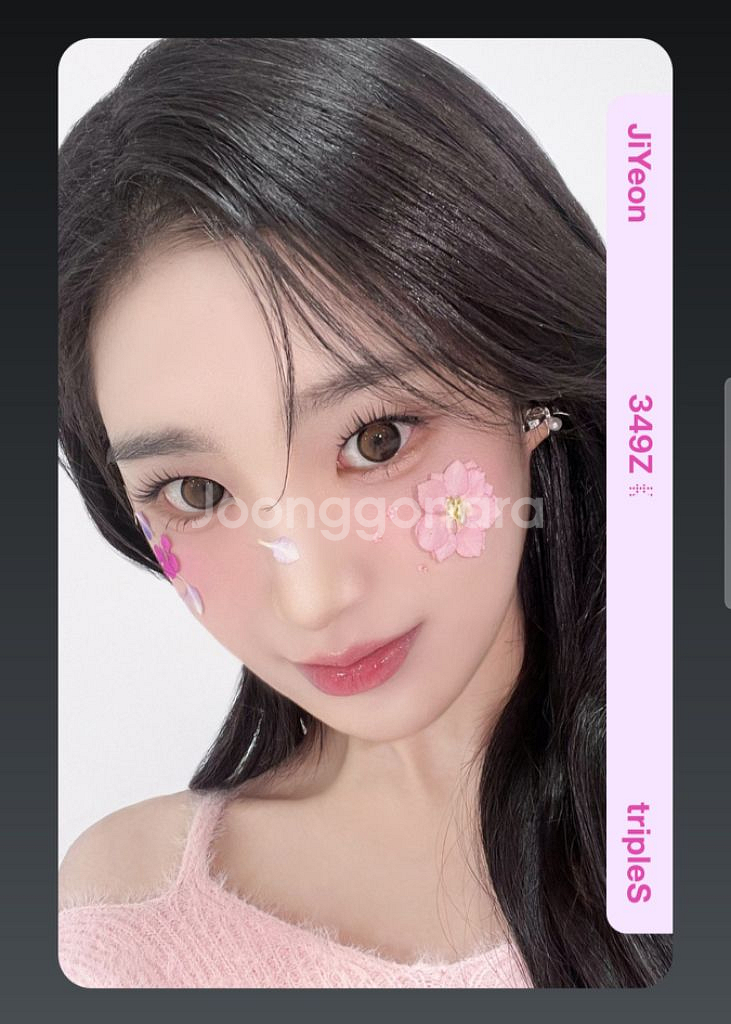 2025 트리플에스 벚꽃 지연 오브젝트 양도 판매--0