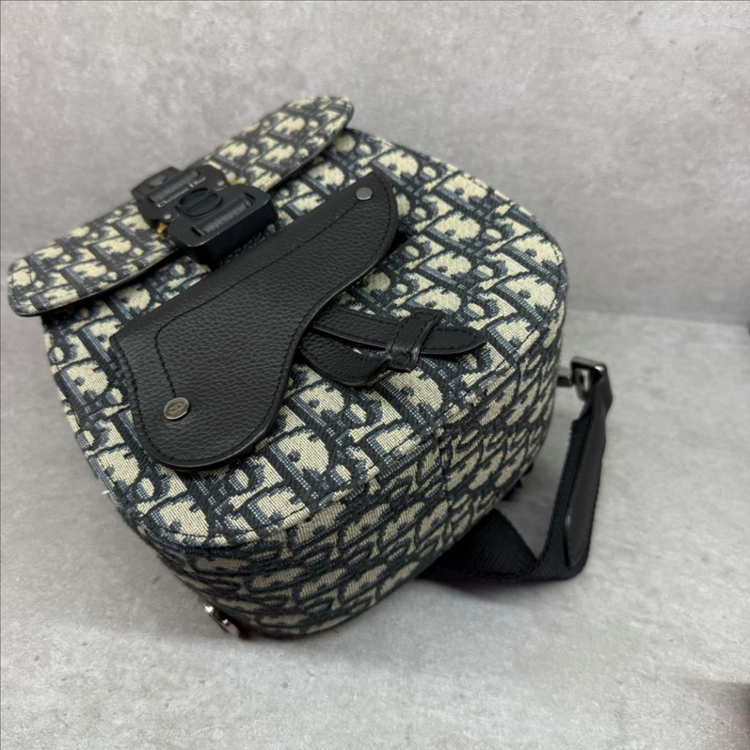 디올 오블리크 갤럽 슬링백--5