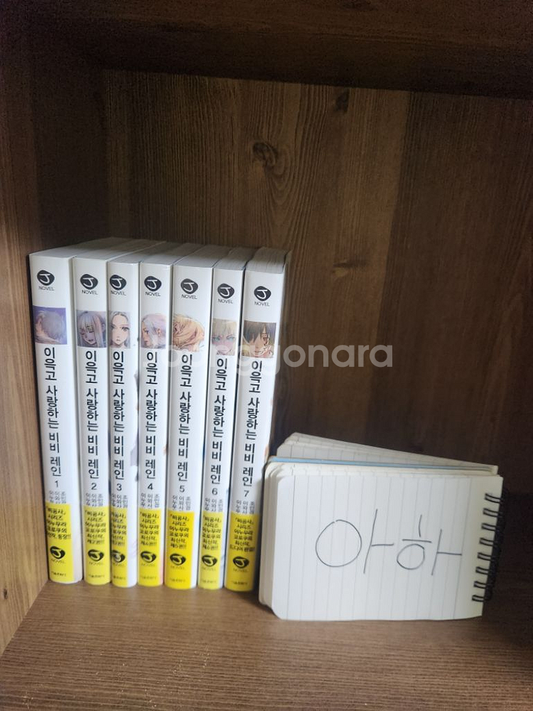 라노벨 권당 3000원 팝니다--2
