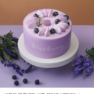 오늘만 이가격/파리바게트 상큼한 블루베리 쉬폰케이크(배