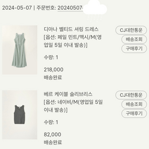 시에 디아나 벨티드 셔링드레스 페일민트 맥시 m