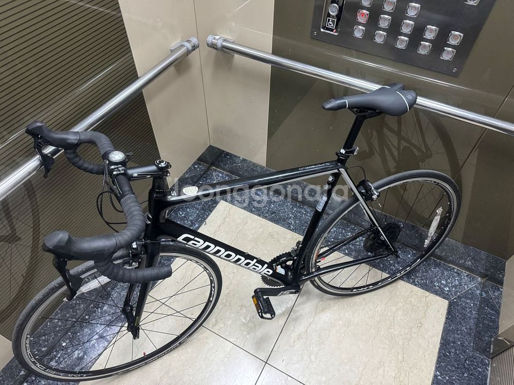 2019 캐논데일 슈퍼식스 에보 카본 로드 자전거--0