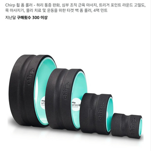 chirp휠정품 4,6,10,12인치+8인치진동+거치대