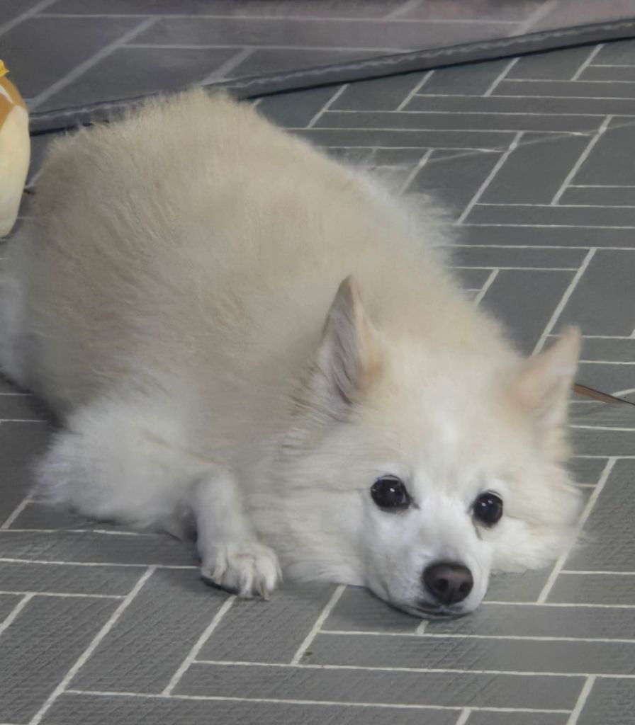 profile-image
