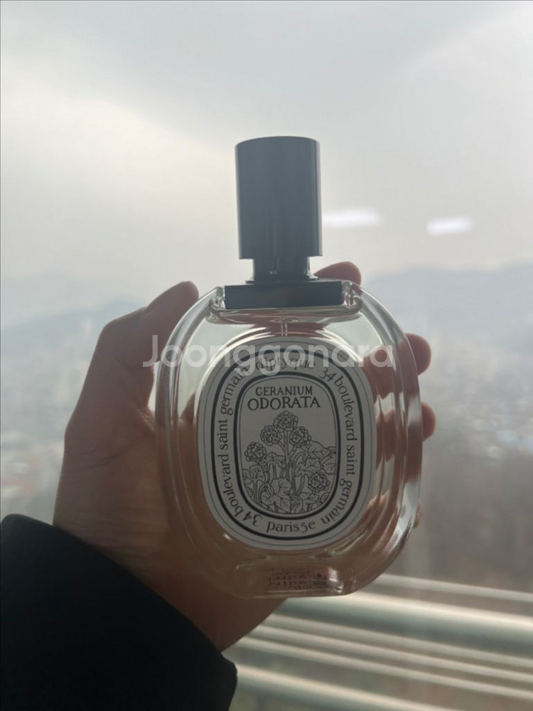 딥티크 제라늄 오도라타 향수--0