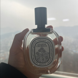 딥티크 제라늄 오도라타 향수