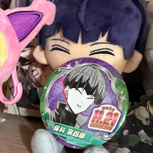괴수8호 호시나 누이
